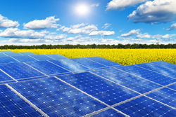 pannelli fotovoltaici in un campo